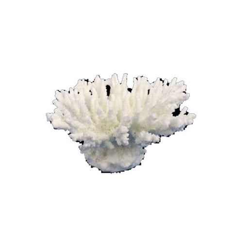 Weco, Weco Products South Pacific Coral Tabletop Ornament, White, 1 Each/XXS Weco