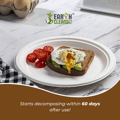 Earth Cleanse, 9" Round Bagasse Plates Premium, 500 Pack Earth Cleanse